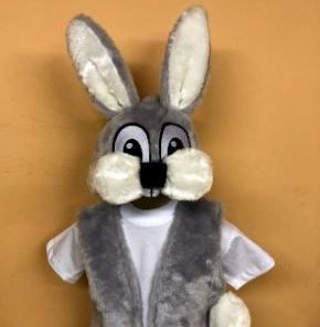 zaika kostīms berniem